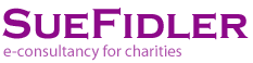 Sue Fidler - e-consultancy for charities